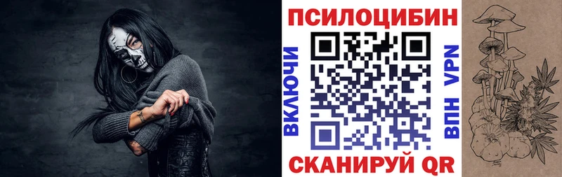 Галлюциногенные грибы Psilocybine cubensis Оленегорск